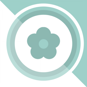 Flower Flower